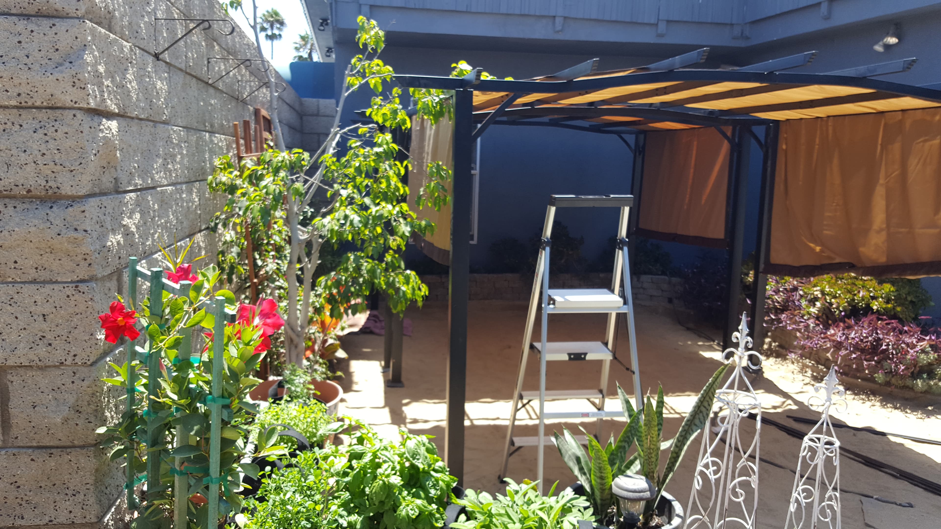 Pergola taking shape